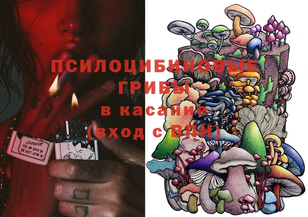 гидропоника Алексеевка