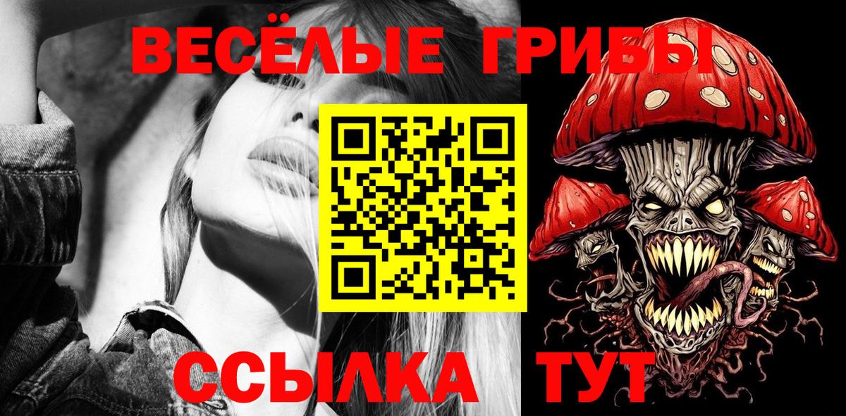 Псилоцибиновые грибы Psilocybine cubensis  Вход с VPN  Коркино 