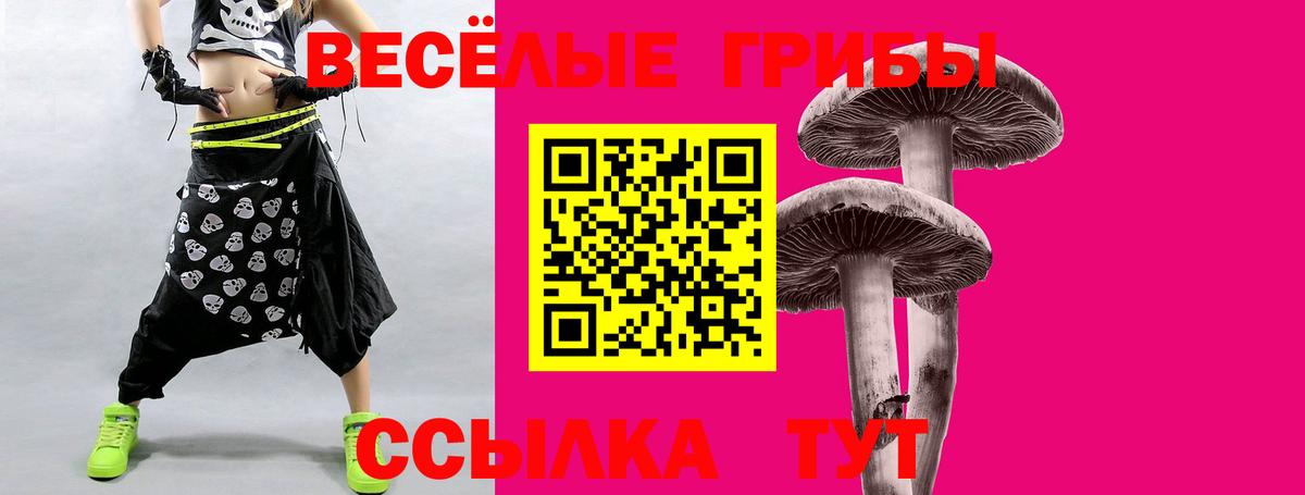 Псилоцибиновые грибы ЛСД Коркино